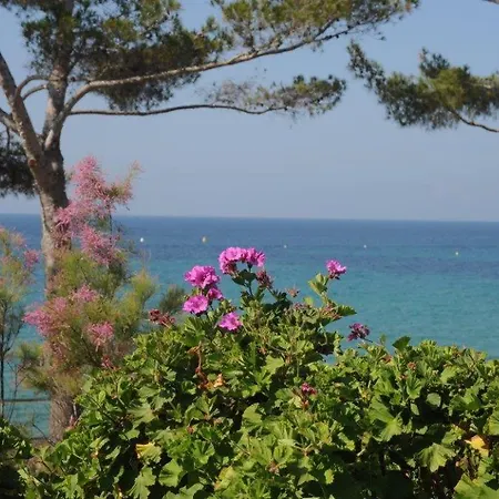 Διαμέρισμα Beau 3 Pieces De Gigaro, Wifi 149 La Croix-Valmer